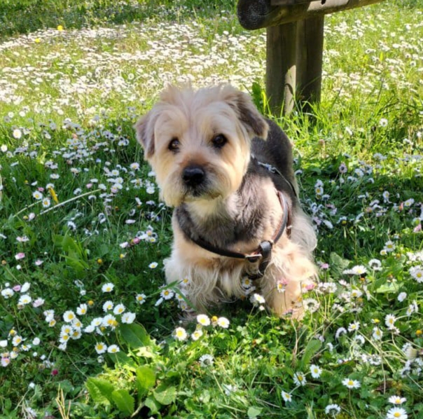 [Image: 20220521-165428.jpg]