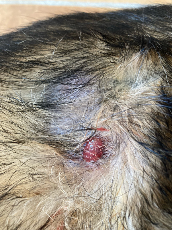 ADAD7926-DFEA-4AF0-AA16-6C768E7196B9