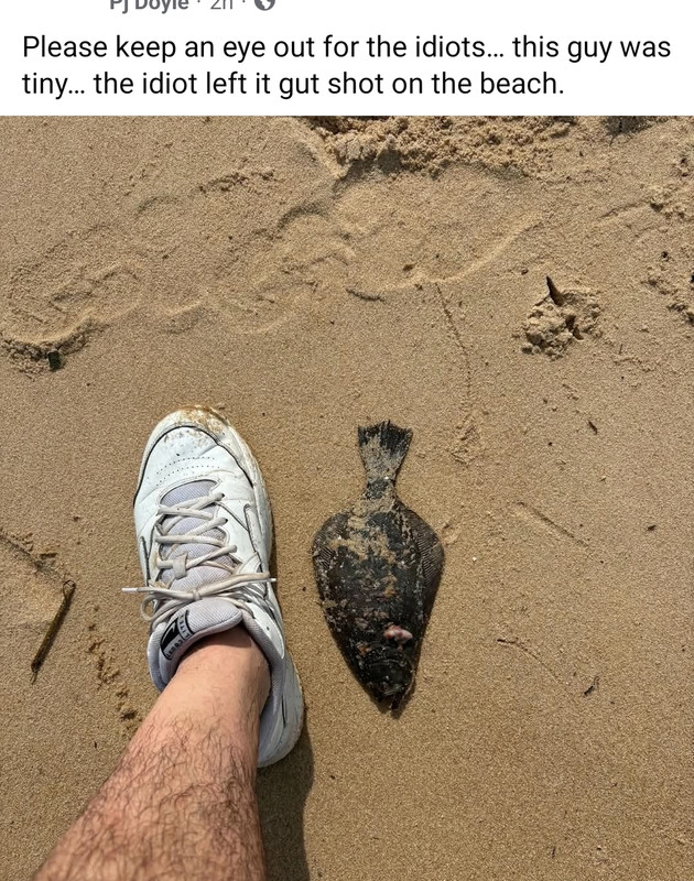 [Linked Image from i.postimg.cc]