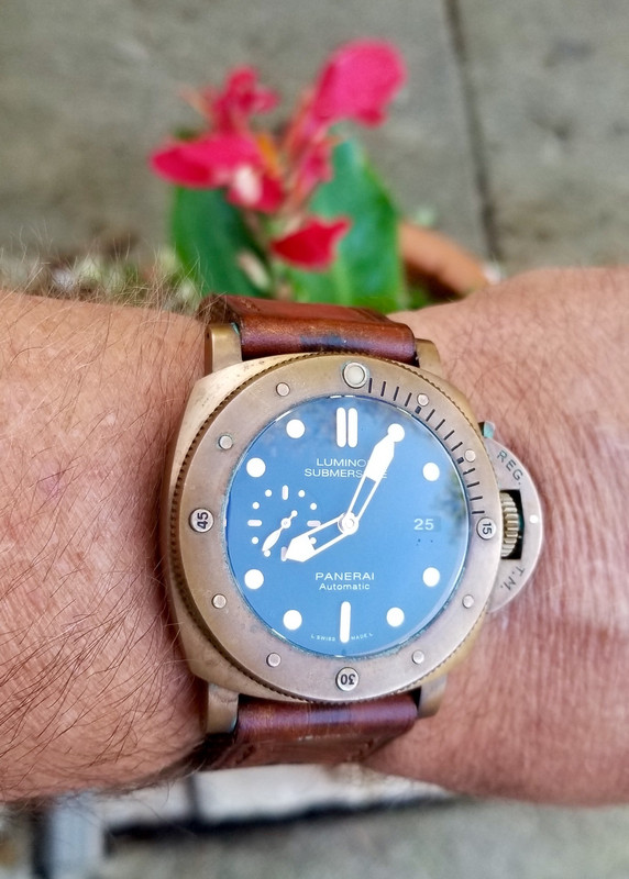 13C0A9A5-4E00-43A7-AF23-F4CD898DD05D