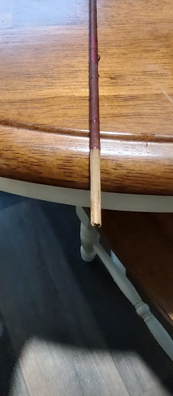 IMG_20230128_073013531_HDR