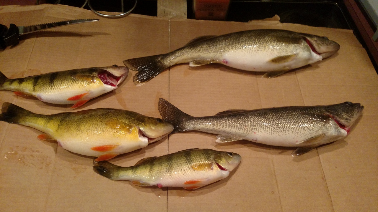 IMG_20180224_141412969