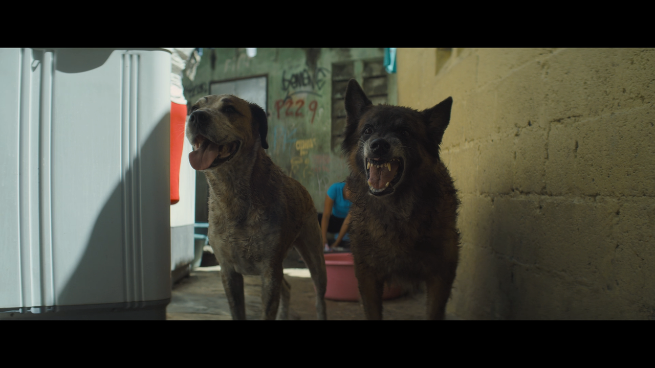 mpv-shot_Arthur.the.King.2024.1080p.BDRemux.AVC-Нечипорук_00_26_39_0006