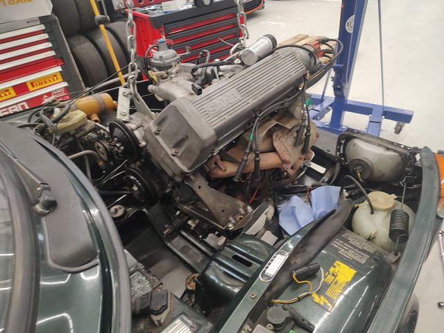 IMG_20241115_120949549