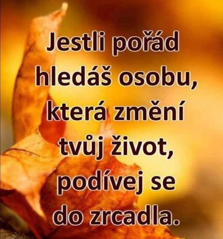 347834c041944a7841bd13ee64d3cbca