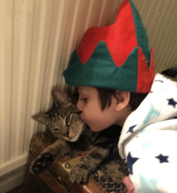 7FA115E3-4A36-40A3-960A-1439FC9FE5A9_1_105_c