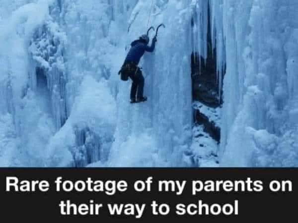 parents on the way to school