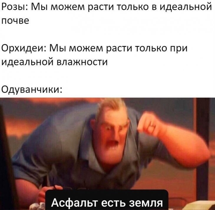 3Vm3WoBzBrvKkpShxeHAQBmY7rPWGGT4XE1Ey82k_ko98VABA429kIlXS42kPErd4ccCVkLE5Rg3z-XgbCccLNQi