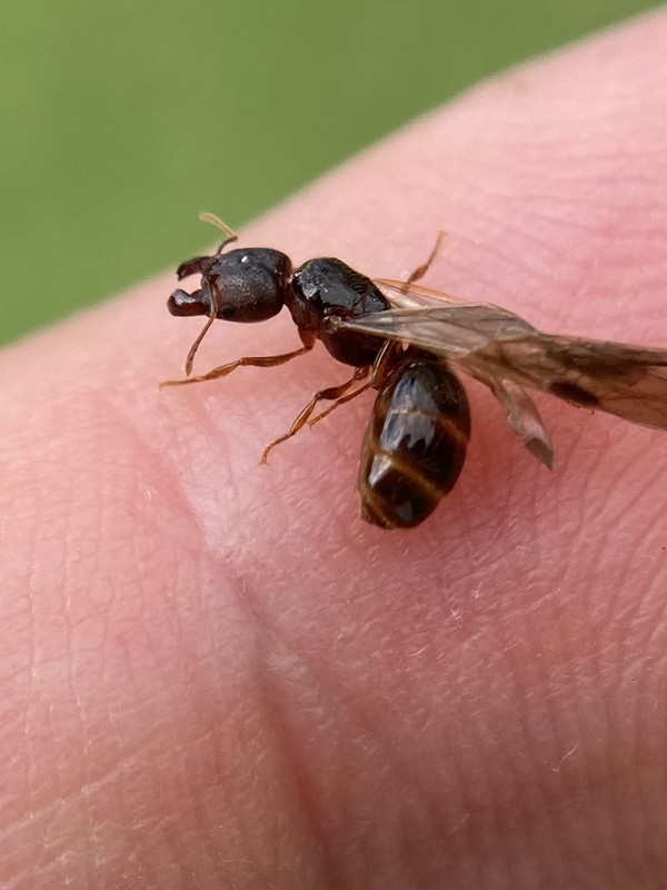 19828C87-E179-4A7C-9BF3-DFC8CA75268C