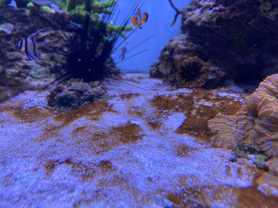 9FFA914B-8476-496B-AEBC-C6BA49423E3D