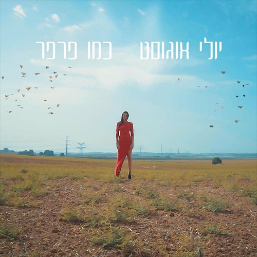 תמונה