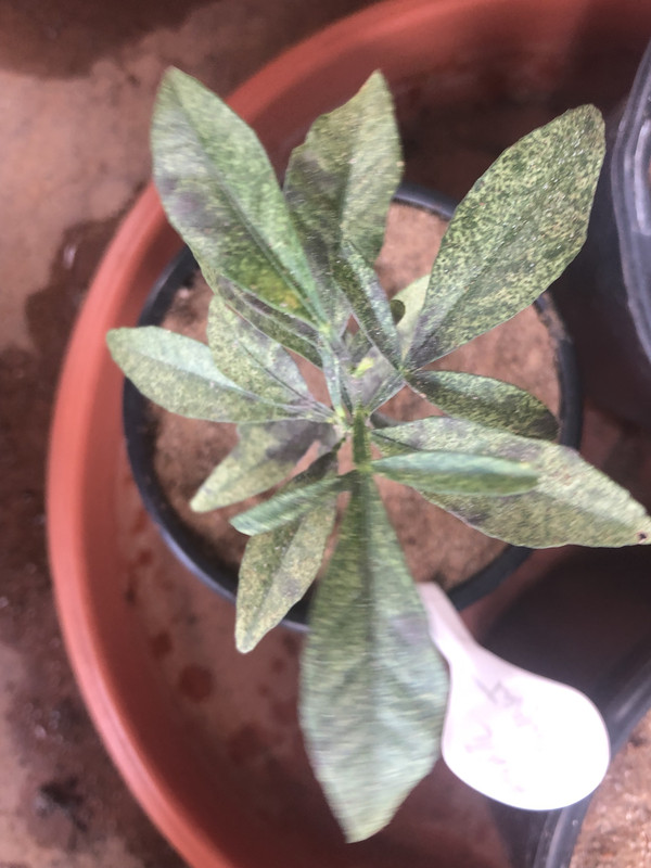 1FE446E8-FC26-41EE-ADFD-9B4C272A163C