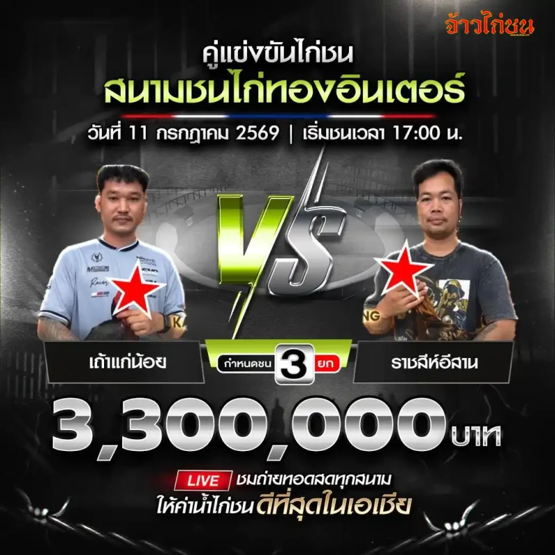 คู่ที่ 3 เถ้าแก่น้อย พบ ราชสีห์อีสาน สนามชนไก่ทองอินเตอร์ วันที่ 11 กรกฎาคม 2569