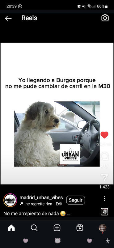 Screenshot_20241015_203947_Instagram