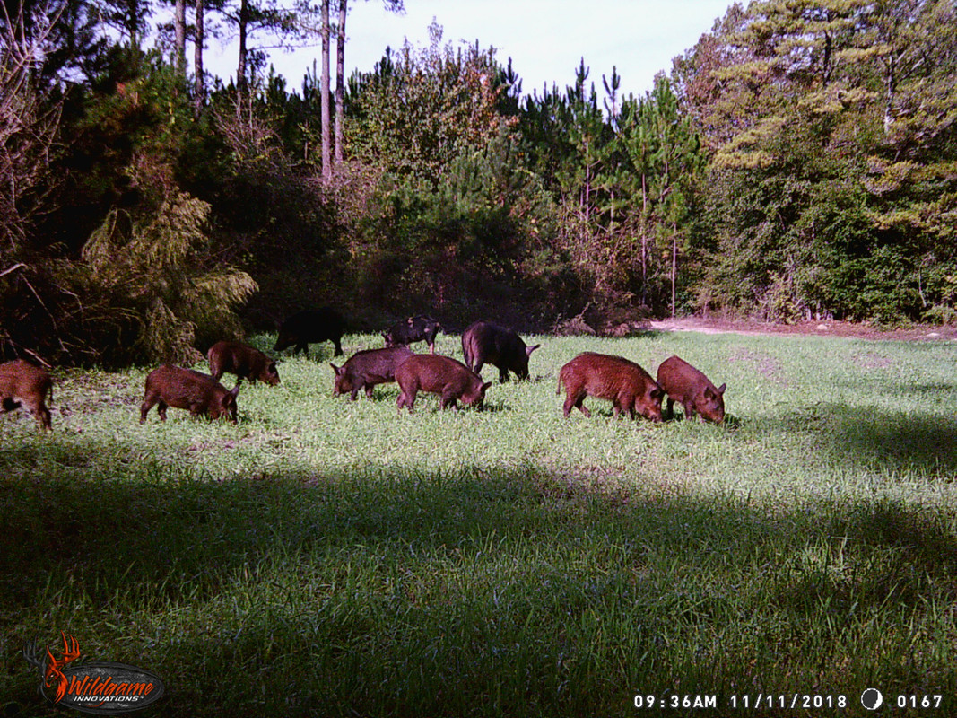 3CCD2CBD-0E63-4E69-A748-D3F70883E458