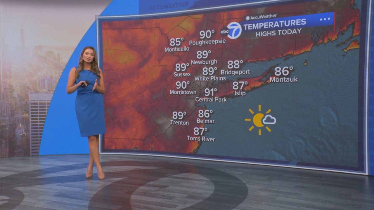 Eyewitness News Mornings at 10_20250811_15001600.ts_snapshot_45.44.339