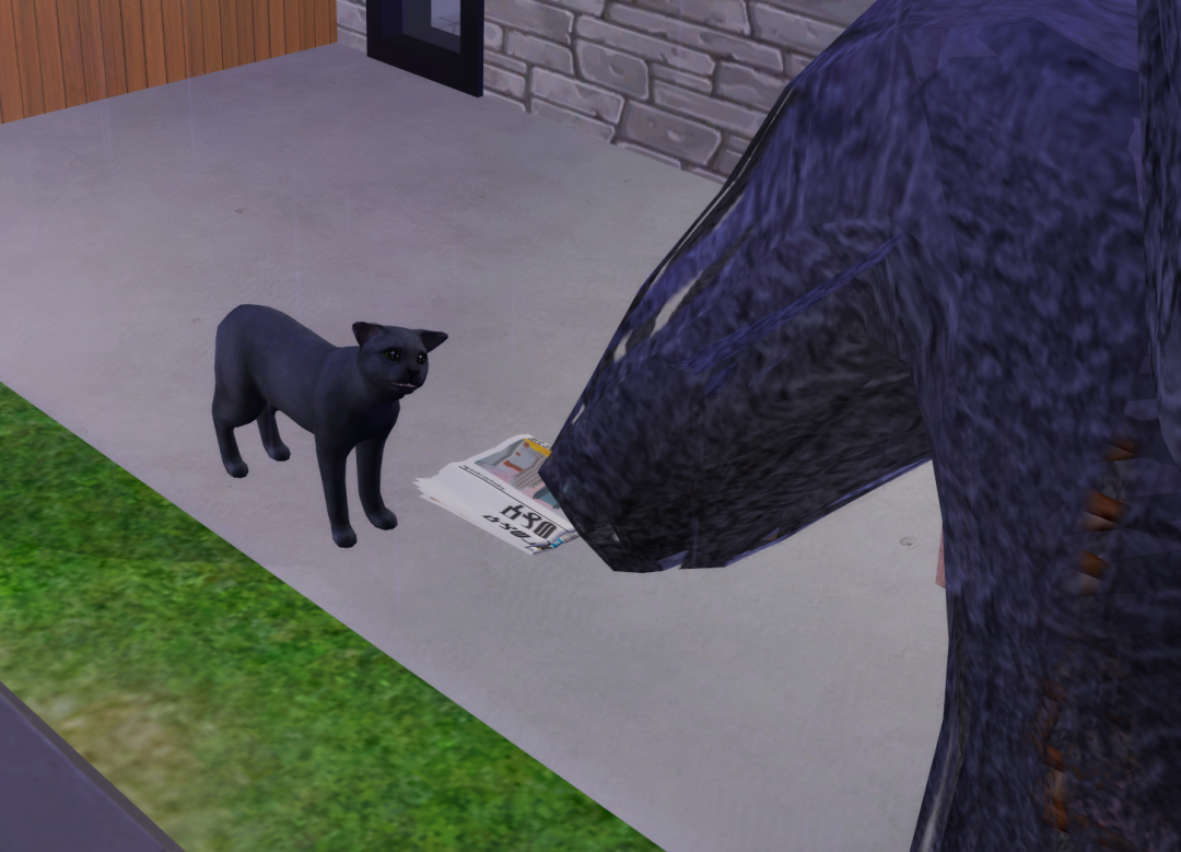 Sims2-EP9-RPC-2023-09-30-17-47-36-70