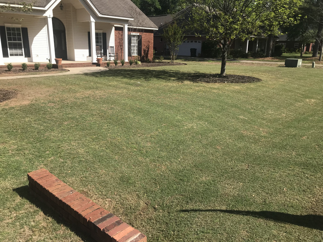 C8EEFA99-E3F7-4A36-821A-14BEA1EDCC99