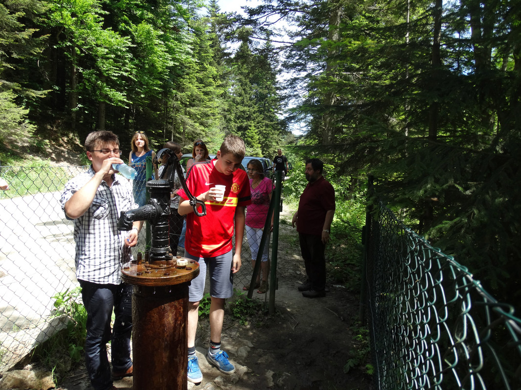 184 - DSC01474 (TomaszK)