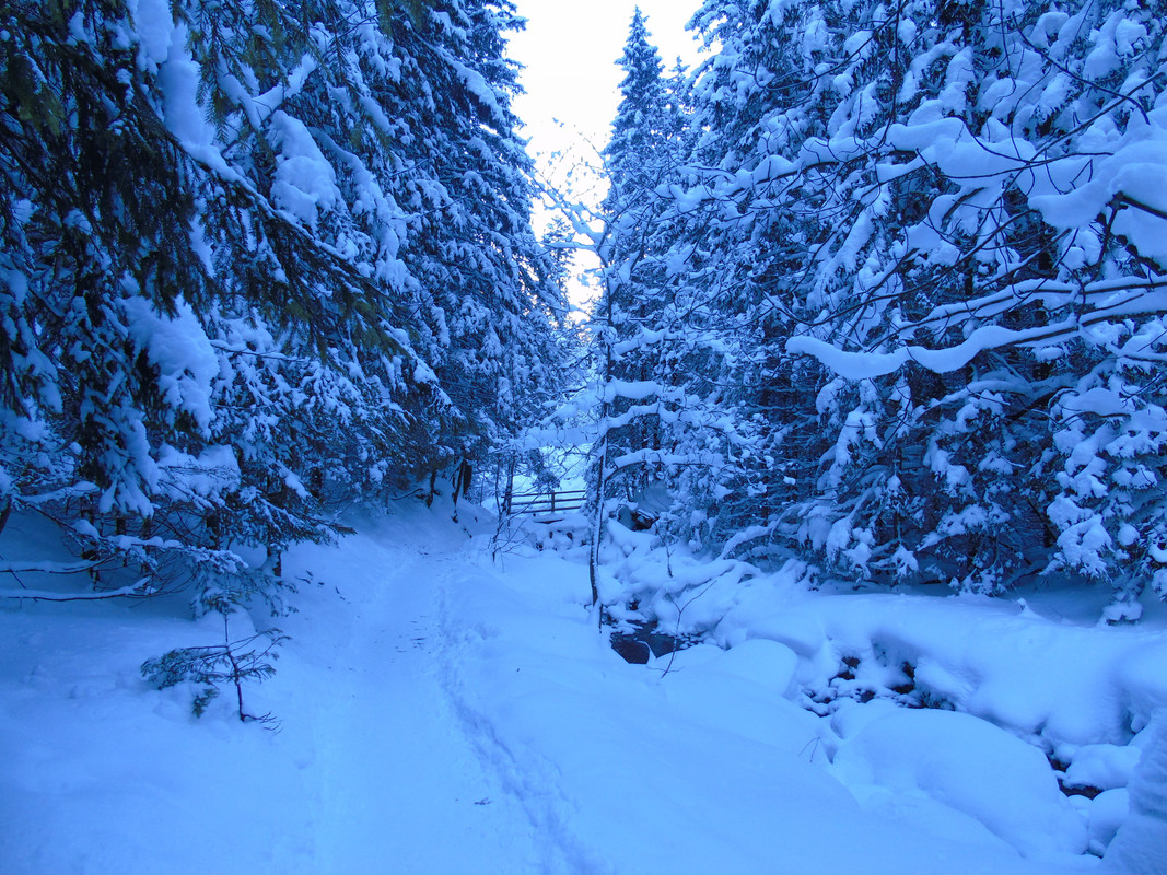 09.19 - DSC05121 (PawelK)