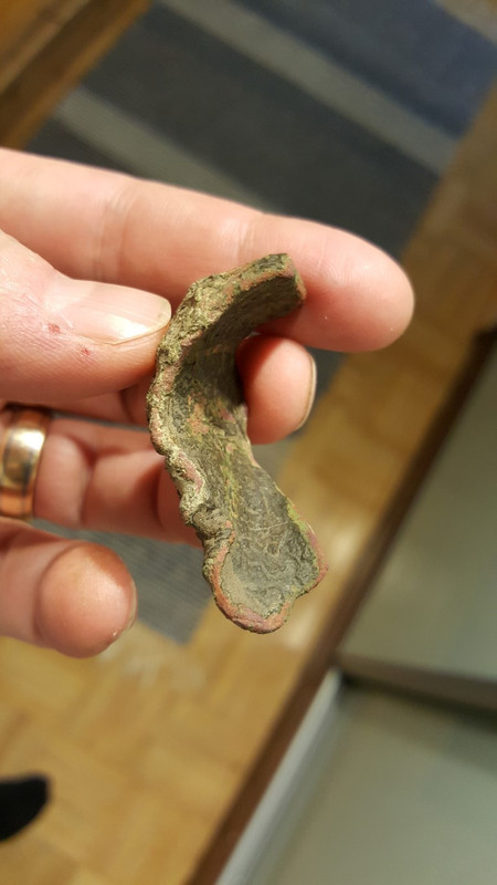 20171105_134952 (Medium)