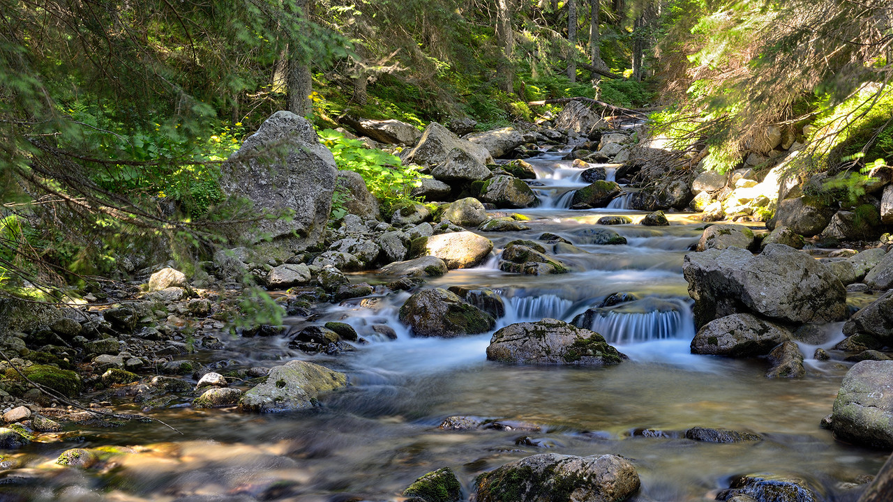 44 - air_2809a (Konfiturek)