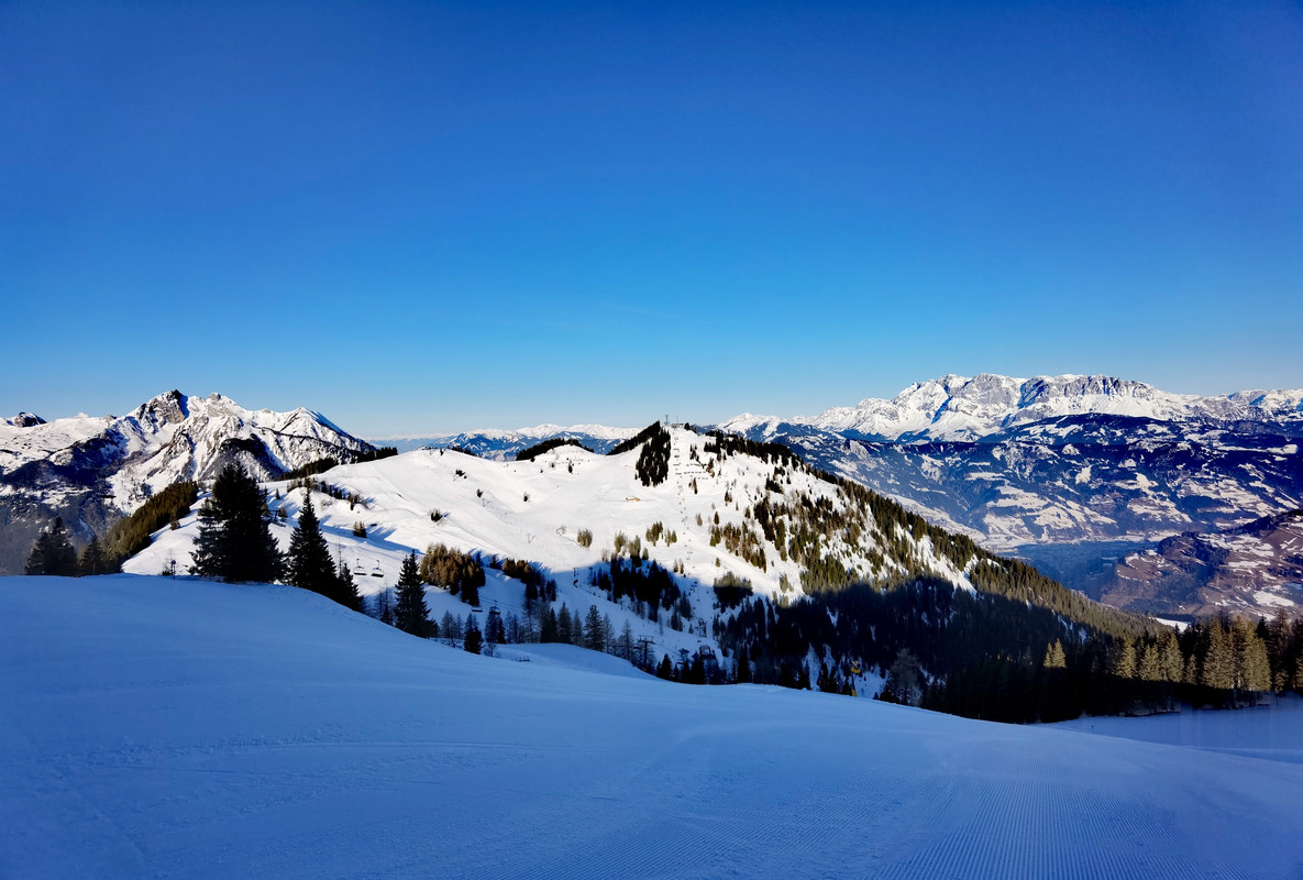 IMG_20220311_075217_edit_15236522911737