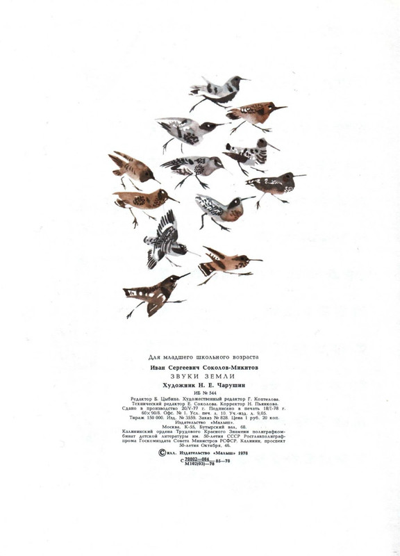 p0019