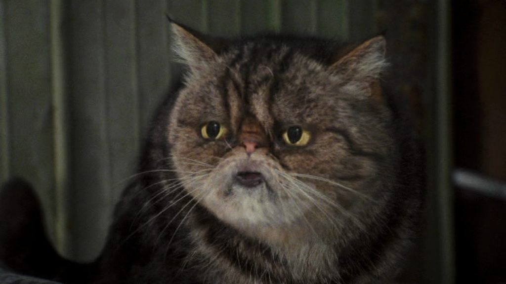 vlcsnap-2018-02-18-09h49m23s946