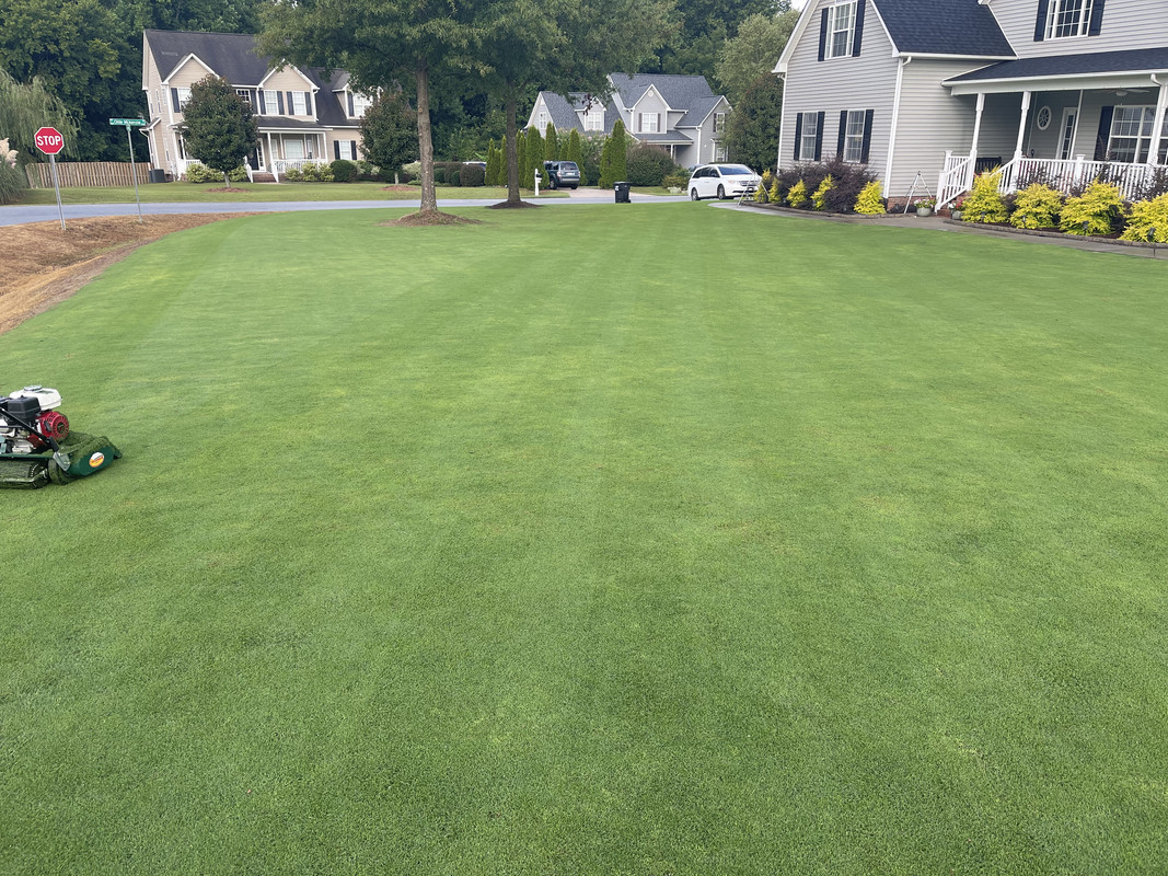 Chadwicktr's Tahoma 31 (from sprigs) Journal - Page 6 - The Lawn Forum