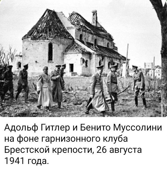 photo 2026 04 12 00 31 18