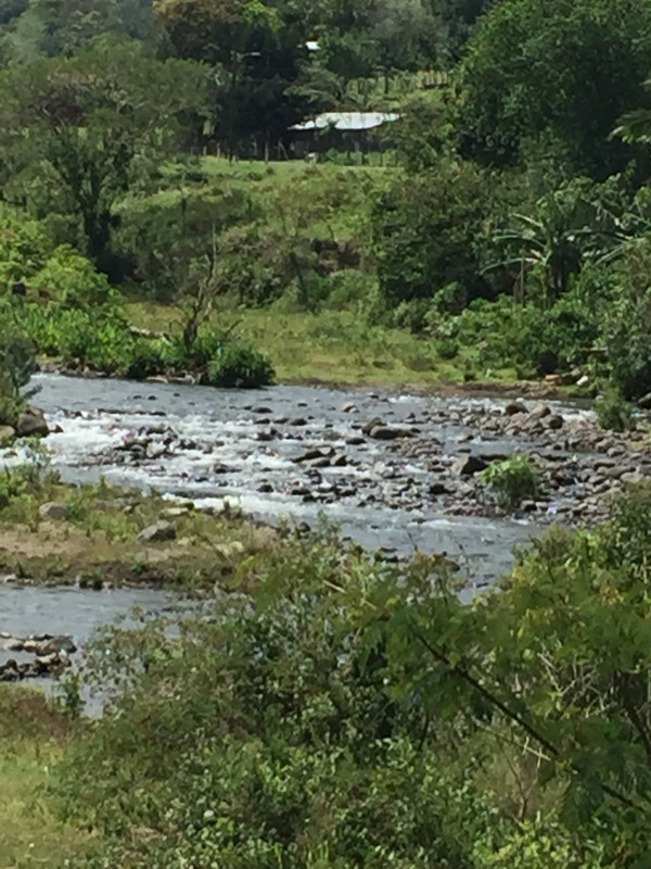 736CFF0D-A1CE-45F5-98A8-6A76E0FA263D