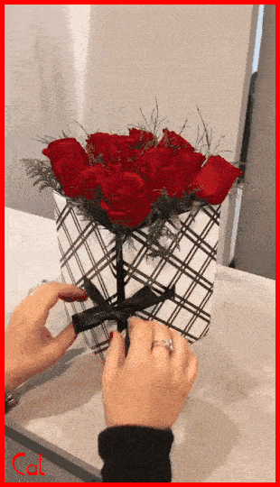 freecompress-4sai7x9z-Xk-Uu