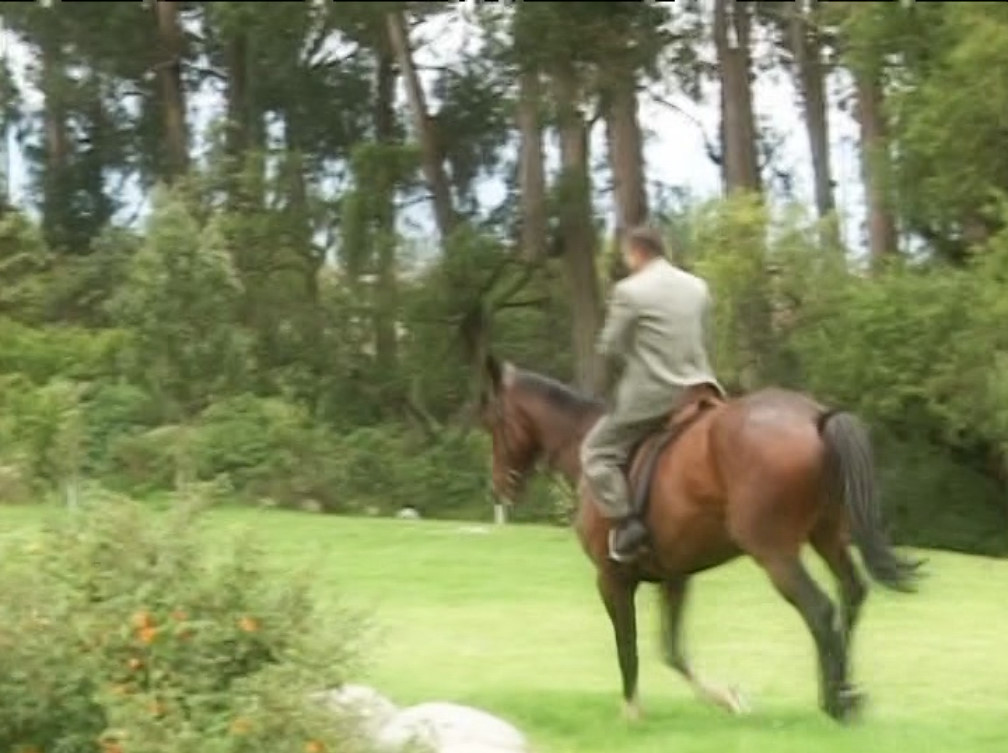 Su excelencia rock star - videos musicales [2007] [DVD5] [HD] [NTSC] [1FICHIER] Captura 5