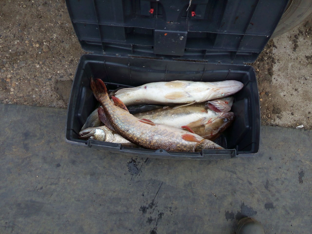 08.08.2015-итог дня