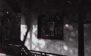 2590ea69e504cbaa1b74ed18ebc358bd2-ezgif-com-resize-1.gif