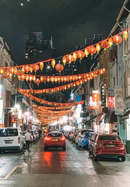 Vuelta a Singapur y fin del viaje. - Singapur e Indonesia 2018 (4)