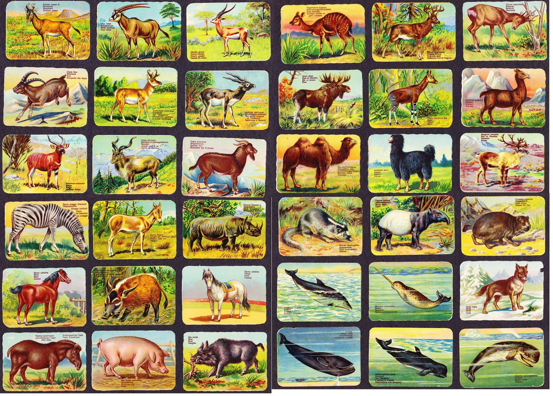 вкладыши (5)_новый размер