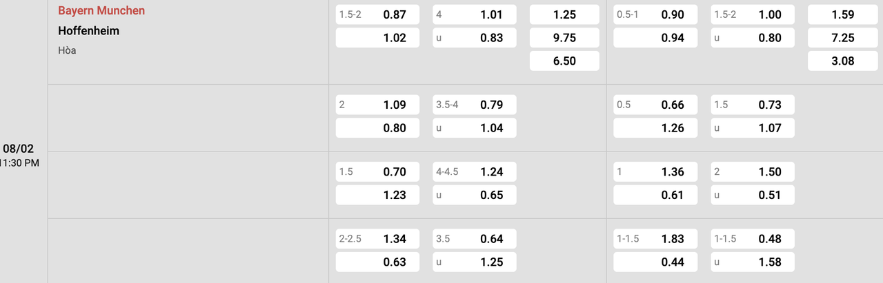 Tỷ lệ kèo Bayern Munich vs Hoffenheim