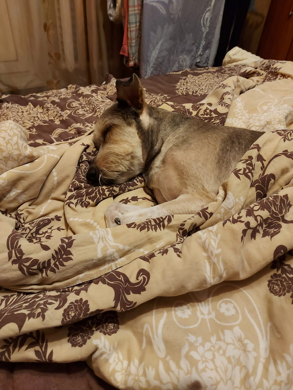 78D83A2B-43D0-46C5-B037-63B7D647581A