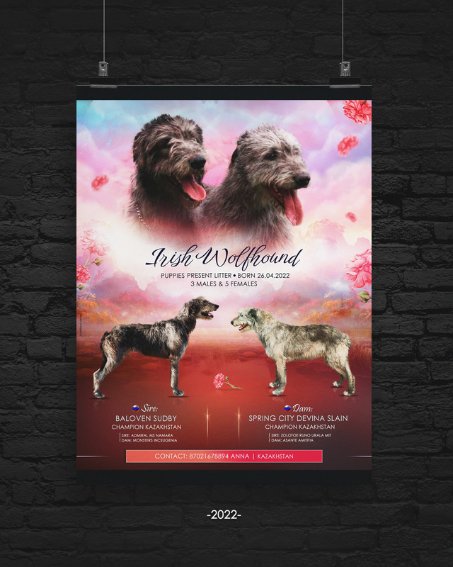 Poster-Dark-by-Don-Design (8)