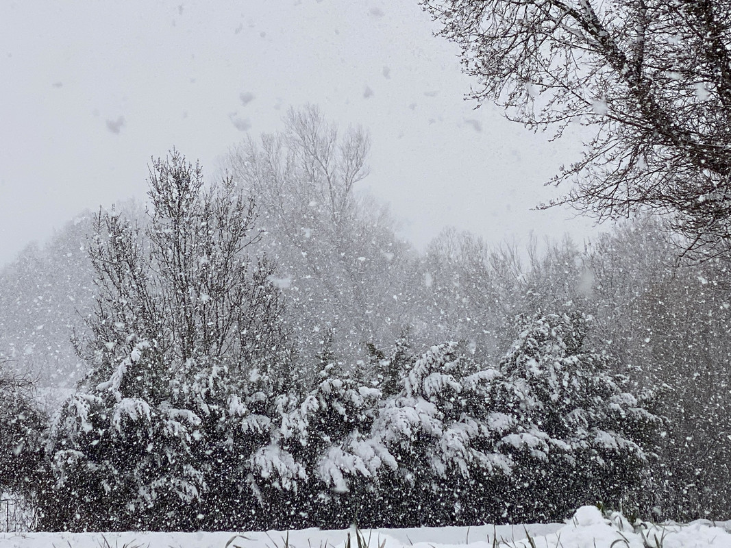 7EFE257C-459E-4009-9CCC-B89E71B004FD