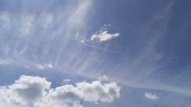 IMG-2019-05-23-115205.jpg