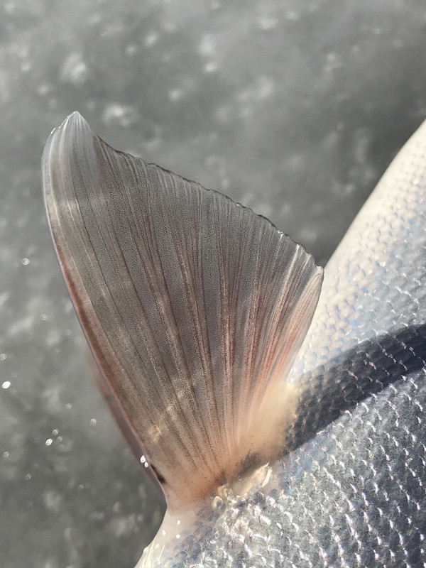 0156A78D-612A-4CD2-B78E-AC8806A22501