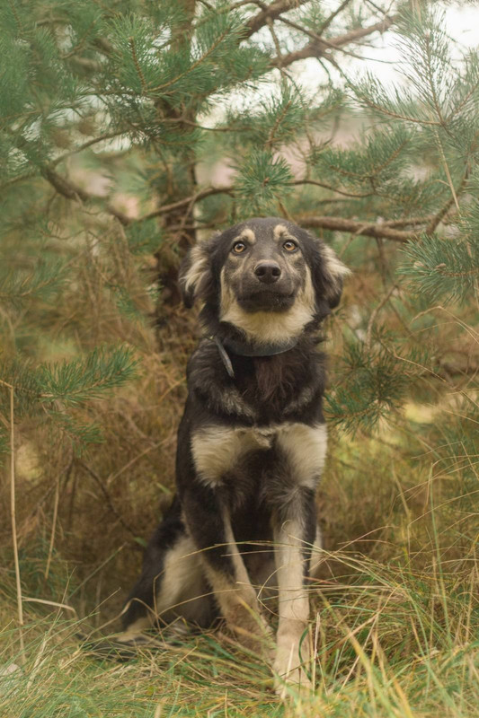 изображение_viber_2022-01-15_16-47-00-633