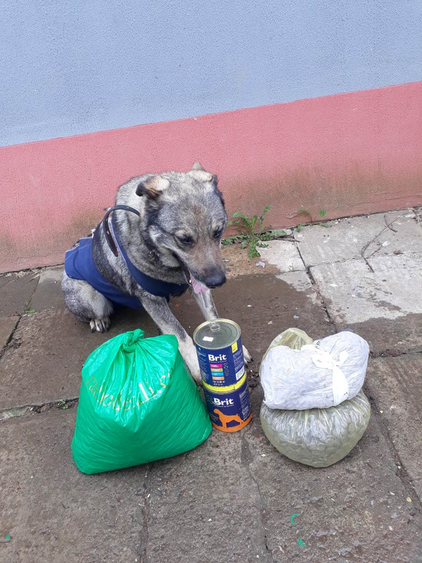 помощь от группы Юлии Торсуновой