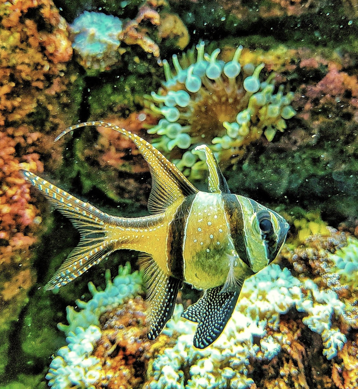 IMG_20180907_165704-01-01-01-01-01