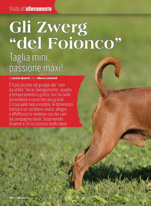 Il M C Feb 2022 (11)