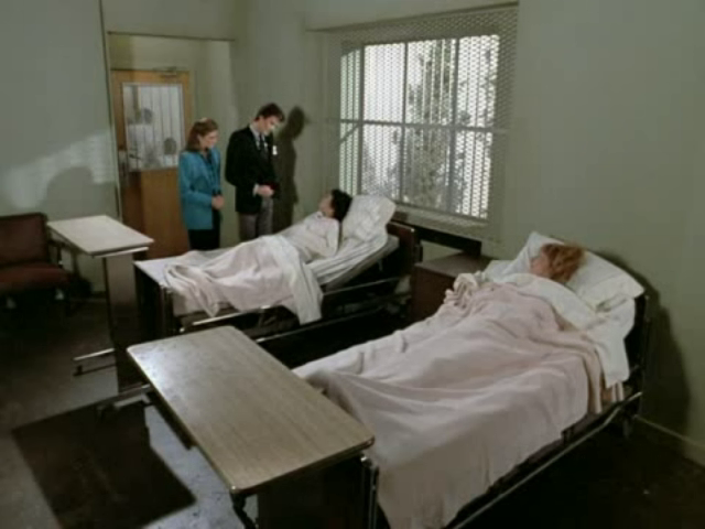 Remington Steele (2)