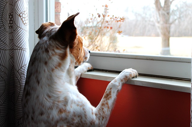 [Image: waiting13.jpg]
